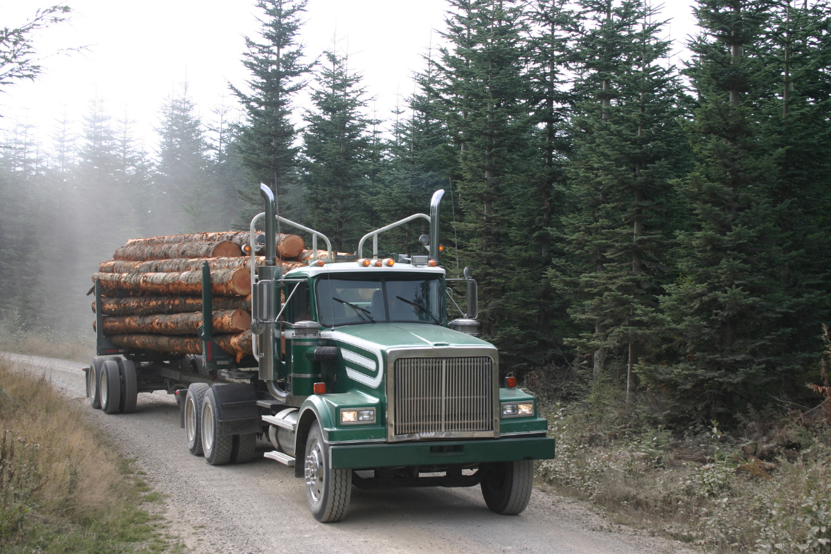 Dans quelle fourchette se situe le prix du camion de bois en grume 