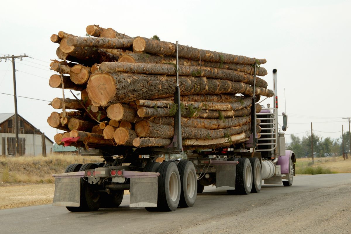 Quels sont les principaux critères qui influent sur le prix du camion de bois en grume 